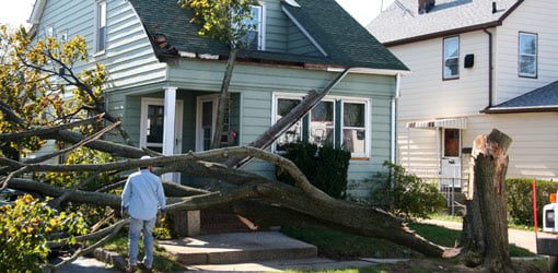 How to Clean Your Yard After a Hurricane