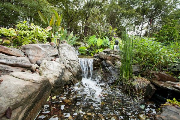 landscaping designs with waterfall