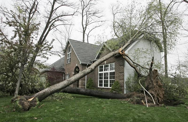 Large Tree Collapsed on a North Carolina Home after a Hurricane