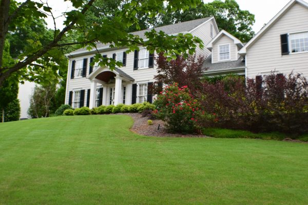 beautiful front yard landscaping Charlotte