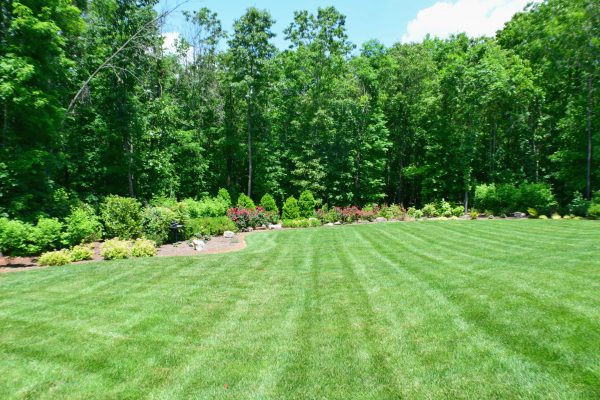 Lush, Green Lawn in Charlotte NC