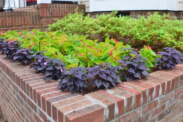 Custom landscape built into brick retaining wall in North Carolina