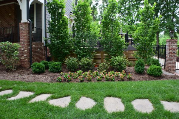 Healthy lawn and landscape maintained by MetroGreenscape