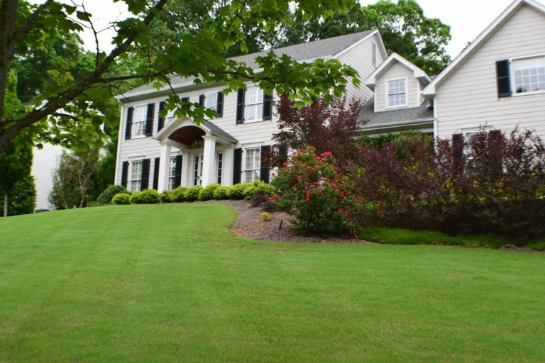 metrogreenscape lawn care charlotte