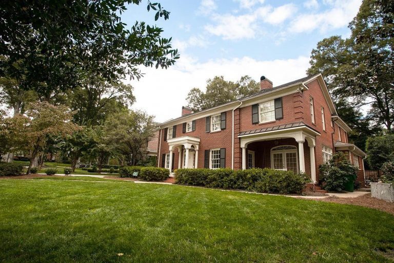 lawn care and maintenance