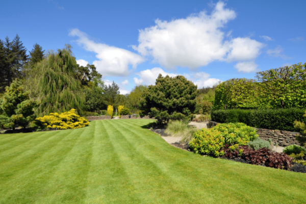 Big, well-maintained landscape. Recently mowed by MetroGreenscape in Charlotte, NC.