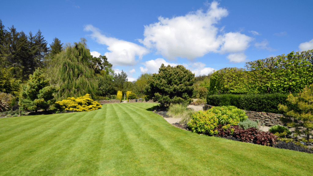 Big, well-maintained landscape. Recently mowed by MetroGreenscape in Charlotte, NC.