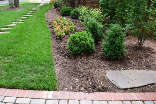 New landscaping and maintenance by MetroGreenscape