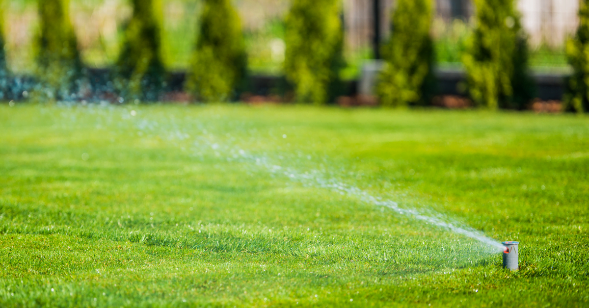 Pico Rivera Installing A Sprinkler System thumbnail