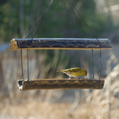 bird feeder