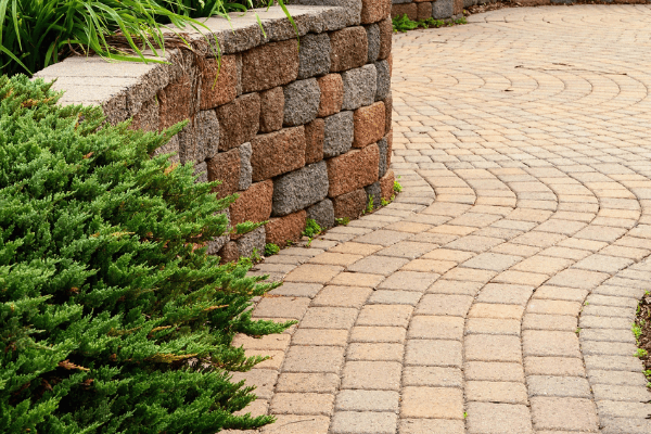 retaining wall in a homeowner's backyard