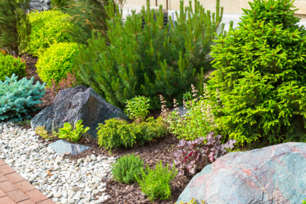 landscaping design in Gastonia NC