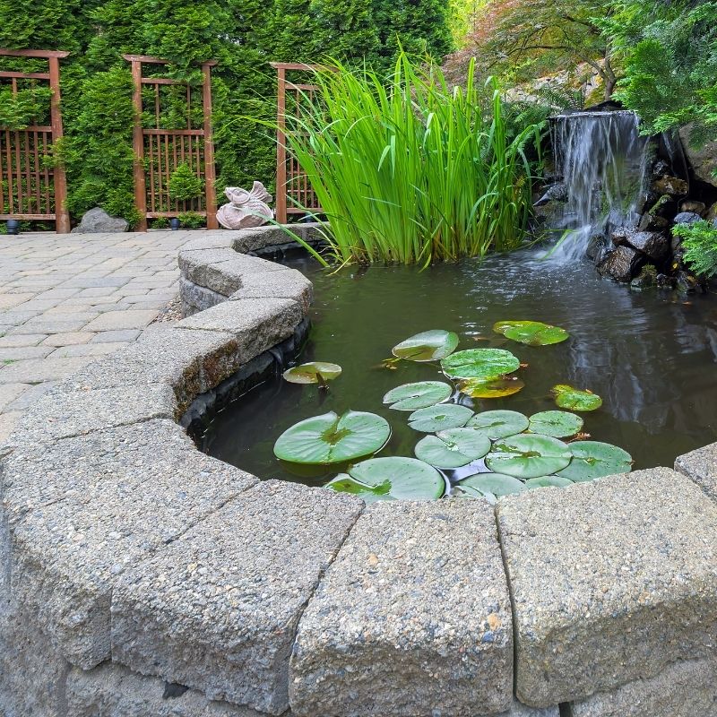 custom pond installed by MetroGreenscape