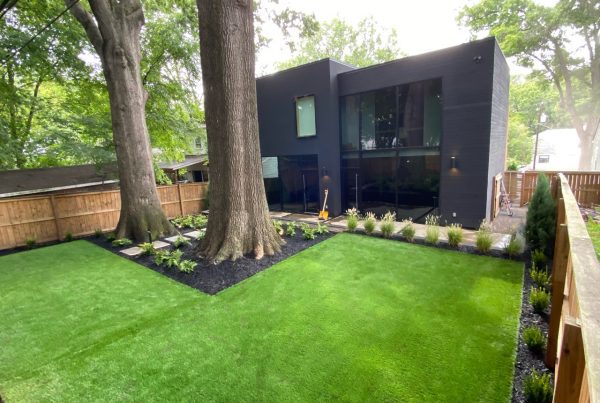 artificial turf and landscape design charlotte nc