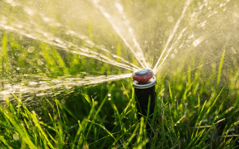 How to Winterize Your Irrigation System This Winter