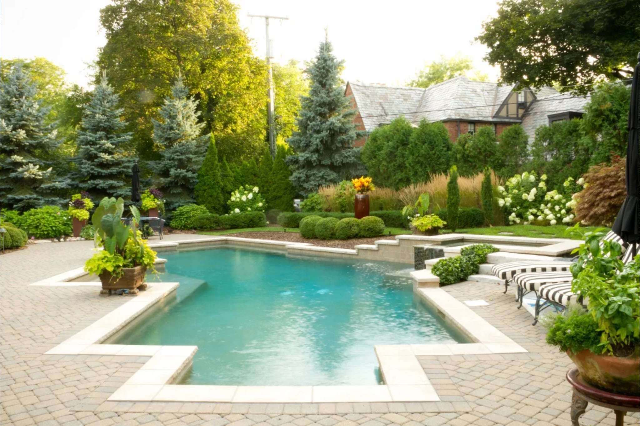 luxury pool and landscaping